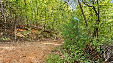 23 B Lake View Road Cherry Log GA 30522