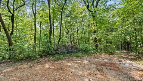 23 B Lake View Road Cherry Log GA 30522