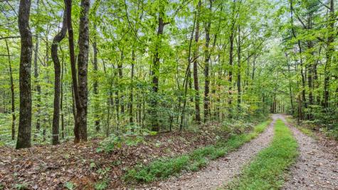 23 B Lake View Road Cherry Log GA 30522