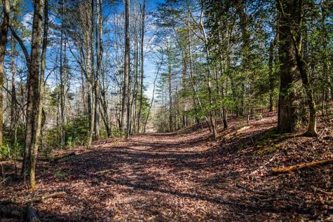 Tract C Captains Cove Blairsville GA 30512