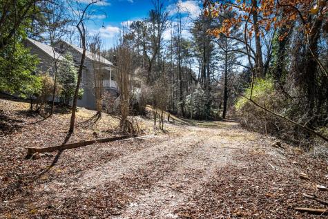 Tract C Captains Cove Blairsville GA 30512