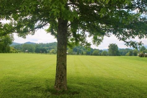 Lot 18 Bell Creek Cove Road Hiawassee GA 30546