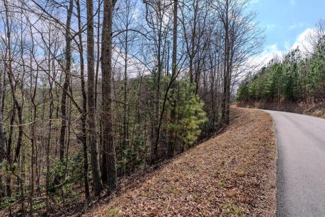 19/20 Summer Cove Road Blairsville GA 30512