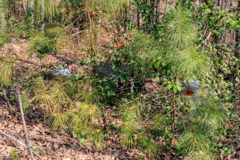 19/20 Summer Cove Road Blairsville GA 30512