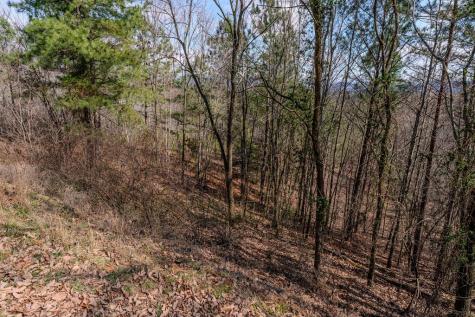 19/20 Summer Cove Road Blairsville GA 30512