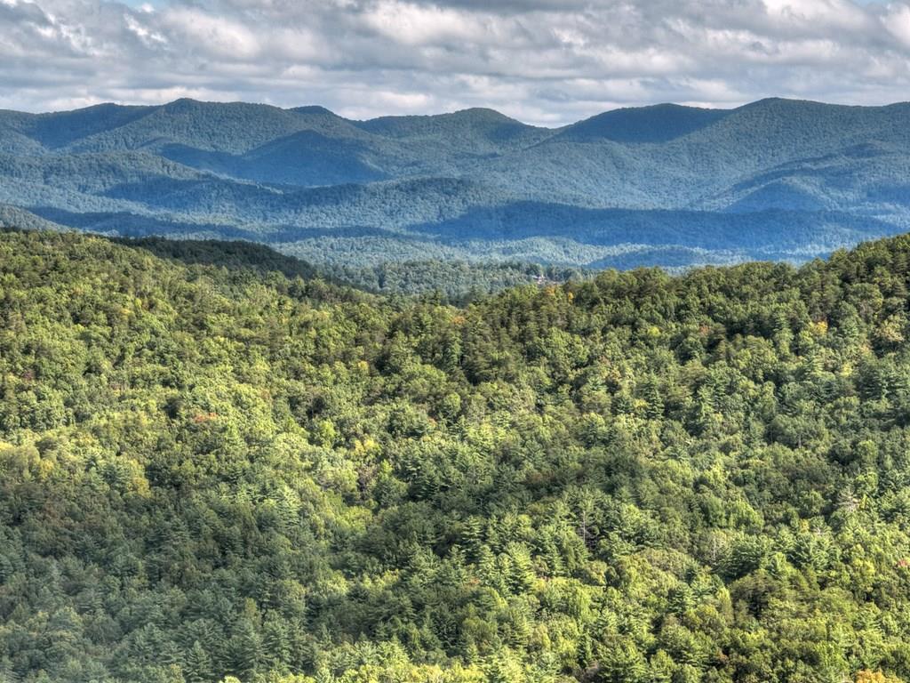 Lot 25 Utana Bluffs Trail Ellijay GA 30540