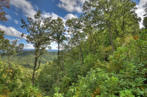 Lot 25 Utana Bluffs Trail Ellijay GA 30540