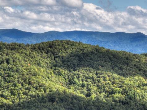 Lot 25 Utana Bluffs Trail Ellijay GA 30540