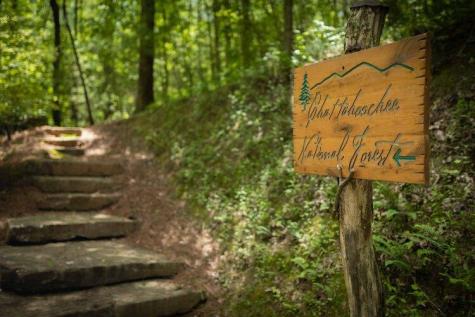 Lot 25 Utana Bluffs Trail Ellijay GA 30540
