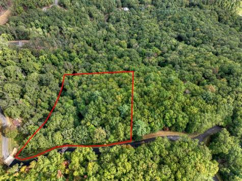 Lot 25 Utana Bluffs Trail Ellijay GA 30540