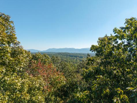 22/23 Abbott Mill Road Ellijay GA 30540