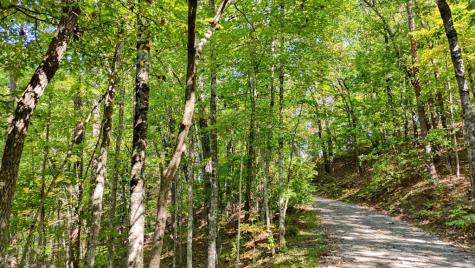 76 Acre Charlotte Circle Blue Ridge GA 30560