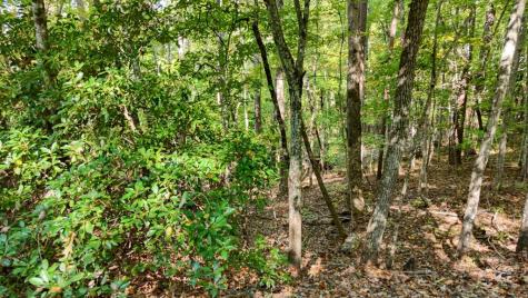 76 Acre Charlotte Circle Blue Ridge GA 30560