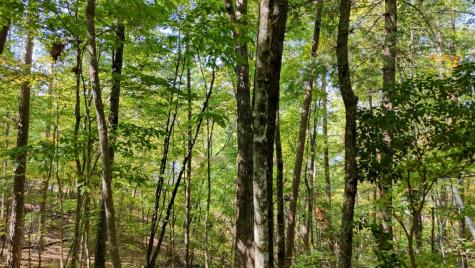 76 Acre Charlotte Circle Blue Ridge GA 30560