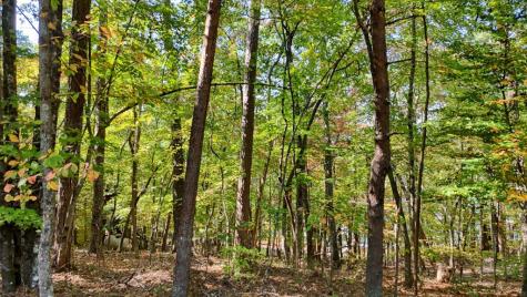 76 Acre Charlotte Circle Blue Ridge GA 30560