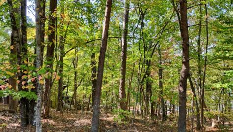 76 Acre Charlotte Circle Blue Ridge GA 30560
