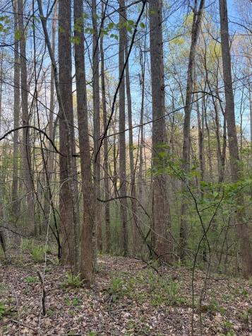 Lot 2 Anns Lane Hayesville NC 28904