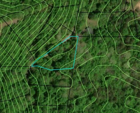 Lot 2 Anns Lane Hayesville NC 28904