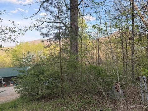 Lot 2 Anns Lane Hayesville NC 28904