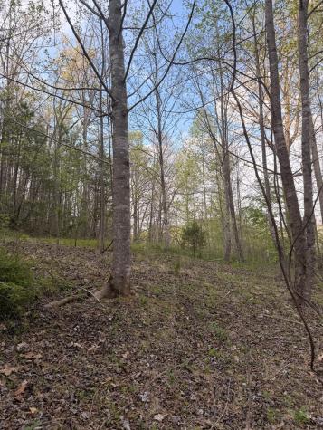 Lot 2 Anns Lane Hayesville NC 28904