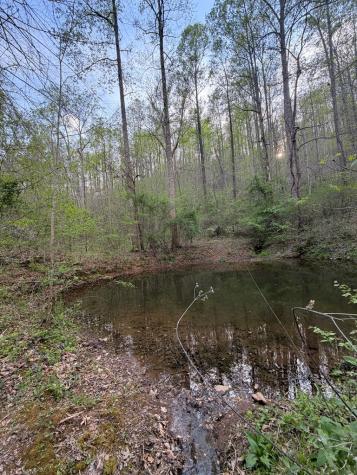 Lot 2 Anns Lane Hayesville NC 28904