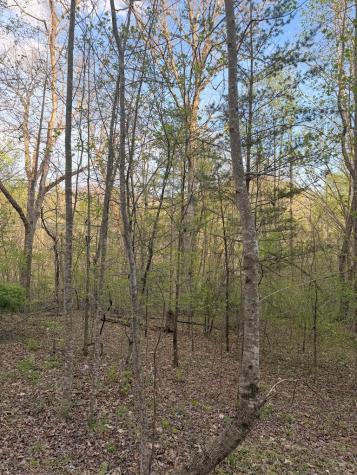 Lot 2 Anns Lane Hayesville NC 28904