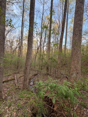 Lot 2 Anns Lane Hayesville NC 28904