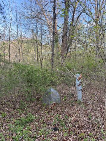 Lot 2 Anns Lane Hayesville NC 28904