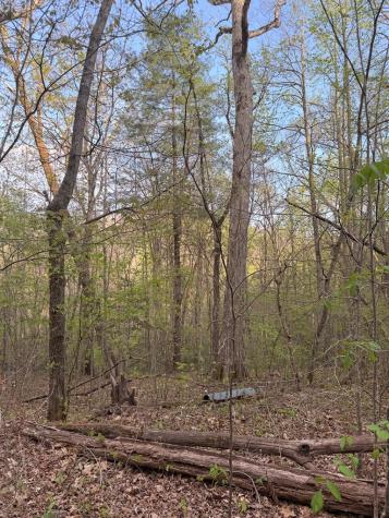 Lot 2 Anns Lane Hayesville NC 28904