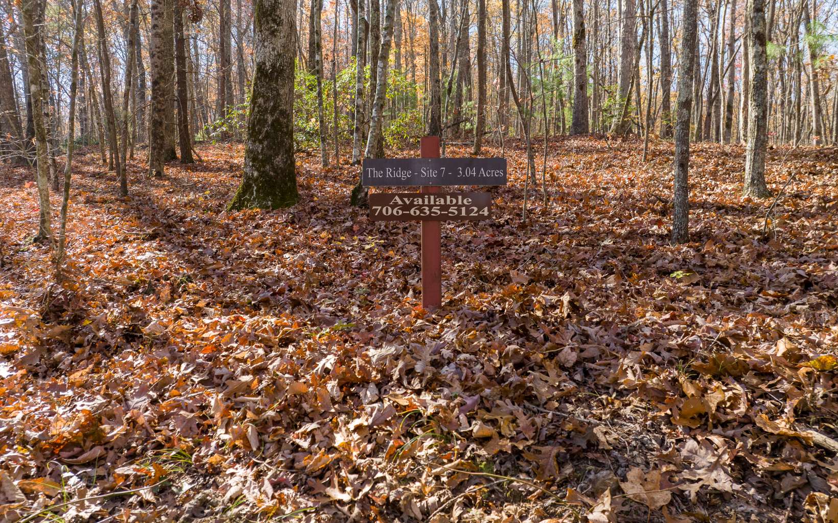 Lot 7 Joseph Anderson Trail Ellijay GA 30536