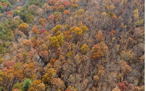 Lot 7 Joseph Anderson Trail Ellijay GA 30536
