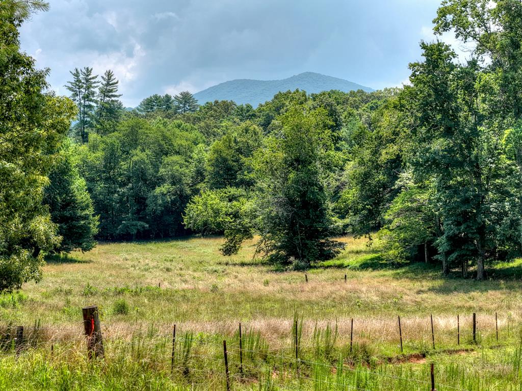 963 Black Ankle Lane Blue Ridge GA 30513