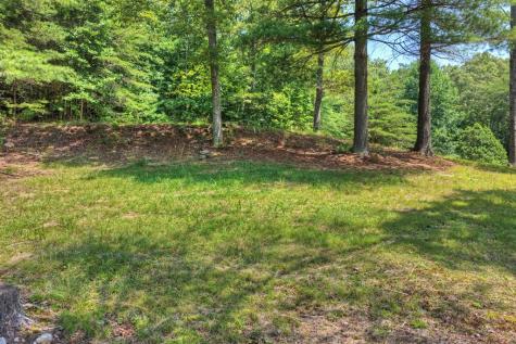 963 Black Ankle Lane Blue Ridge GA 30513