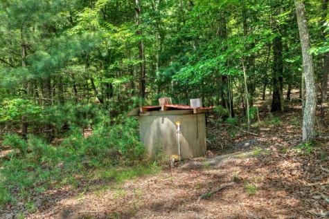 963 Black Ankle Lane Blue Ridge GA 30513