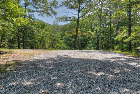 963 Black Ankle Lane Blue Ridge GA 30513