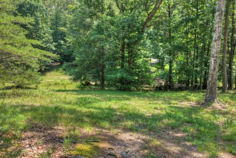 963 Black Ankle Lane Blue Ridge GA 30513
