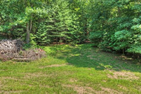 963 Black Ankle Lane Blue Ridge GA 30513