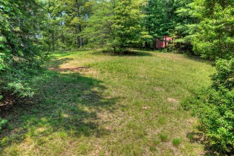 963 Black Ankle Lane Blue Ridge GA 30513