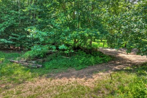 963 Black Ankle Lane Blue Ridge GA 30513
