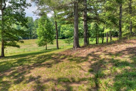 963 Black Ankle Lane Blue Ridge GA 30513
