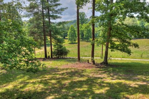 963 Black Ankle Lane Blue Ridge GA 30513