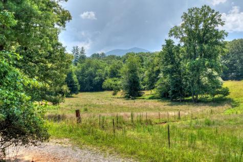 963 Black Ankle Lane Blue Ridge GA 30513