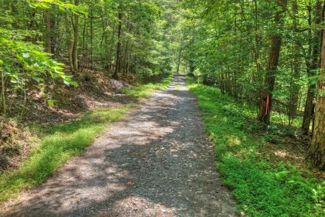 963 Black Ankle Lane Blue Ridge GA 30513