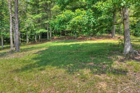 963 Black Ankle Lane Blue Ridge GA 30513