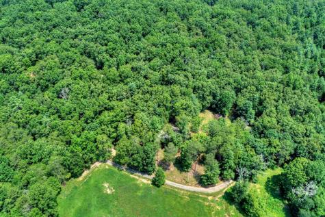 963 Black Ankle Lane Blue Ridge GA 30513