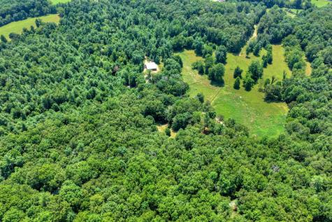 963 Black Ankle Lane Blue Ridge GA 30513