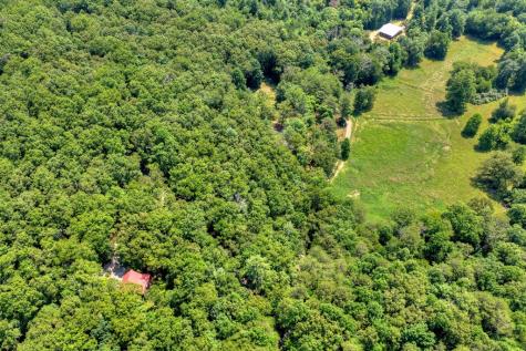 963 Black Ankle Lane Blue Ridge GA 30513