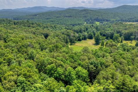 963 Black Ankle Lane Blue Ridge GA 30513