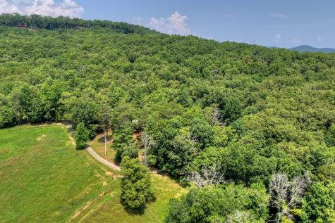 963 Black Ankle Lane Blue Ridge GA 30513