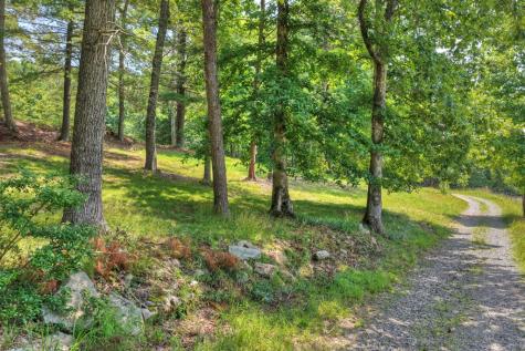 963 Black Ankle Lane Blue Ridge GA 30513